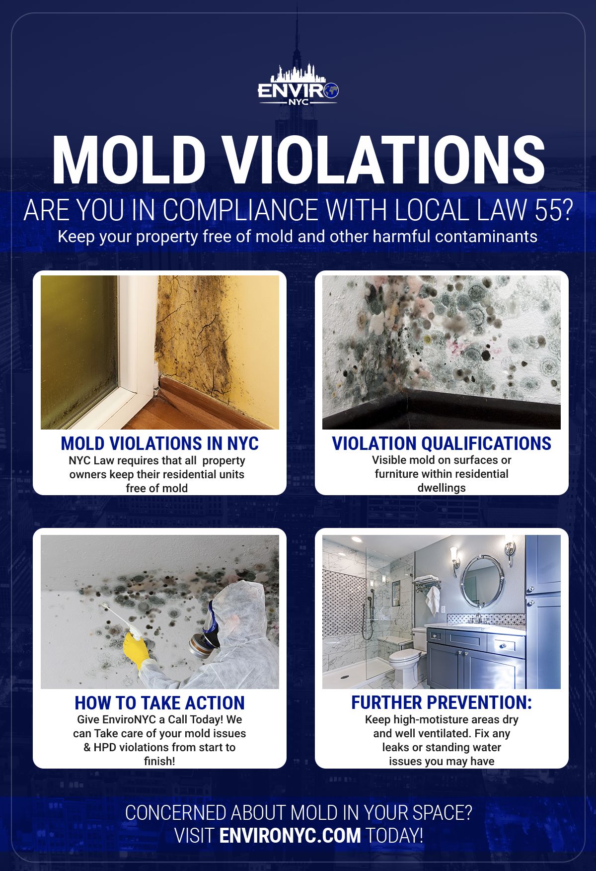 Infographic - Mold Violations - Are You in Compliance With Local Law 55