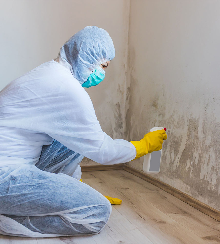 mold remediation