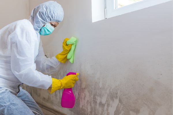 Mold Abatement Solutions