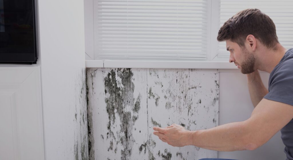 a man looking shocked at mold growing on a wall