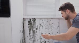 a man looking shocked at mold growing on a wall