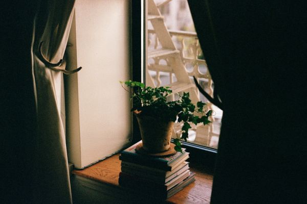 Apartment window.